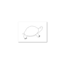 Schildkröte: Zeichenpapier DIN A6, 200 Blätter
