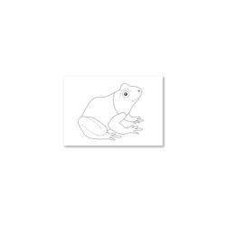 Frosch: Zeichenpapier DIN A6, 200 Blätter