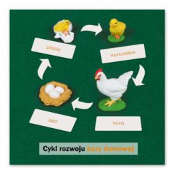 Lebenszyklus einer Henne: Kontrollkarte Sprachvers