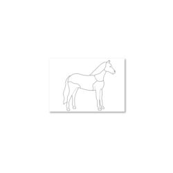 Pferd: Zeichenpapier DIN A6, 200 Blätter