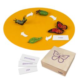 Schmetterling: Kunststoff-Figuren im Kasten, DE