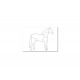 Pferd: Zeichenpapier DIN A6, 200 Blatt